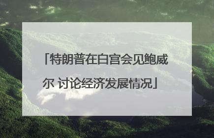 特朗普在白宫会见鲍威尔 讨论经济发展情况
