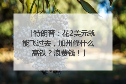 特朗普：花2美元就能飞过去，加州修什么高铁？浪费钱！