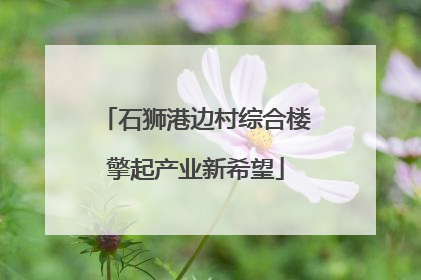 石狮港边村综合楼擎起产业新希望