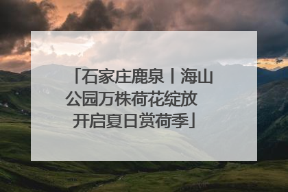 石家庄鹿泉丨海山公园万株荷花绽放 开启夏日赏荷季