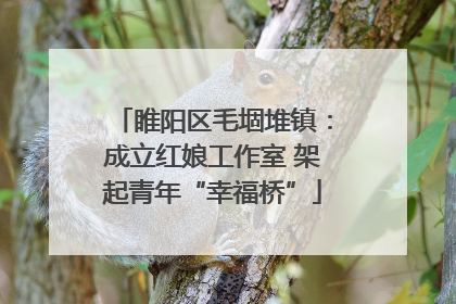 睢阳区毛堌堆镇：成立红娘工作室 架起青年“幸福桥”