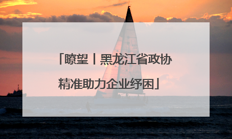 瞭望丨黑龙江省政协精准助力企业纾困