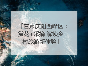 甘肃庆阳西峰区：赏花+采摘 解锁乡村旅游新体验