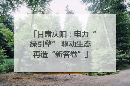 甘肃庆阳：电力“绿引擎” 驱动生态再造“新答卷”