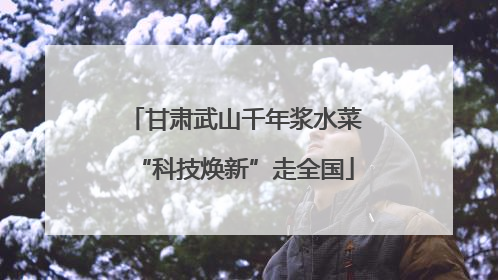 甘肃武山千年浆水菜“科技焕新”走全国