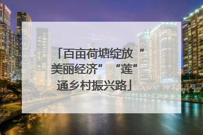 百亩荷塘绽放“美丽经济”“莲”通乡村振兴路