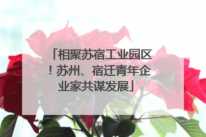 相聚苏宿工业园区！苏州、宿迁青年企业家共谋发展