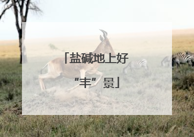 盐碱地上好“丰”景