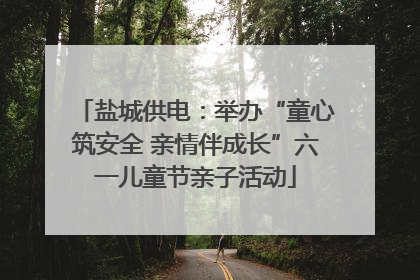 盐城供电：举办“童心筑安全 亲情伴成长”六一儿童节亲子活动