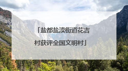 盐都盐渎街道花吉村获评全国文明村