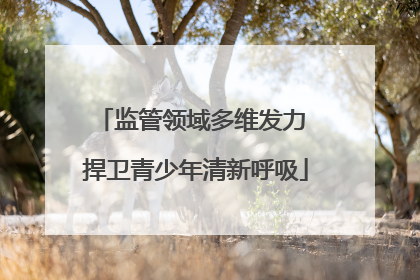 监管领域多维发力 捍卫青少年清新呼吸