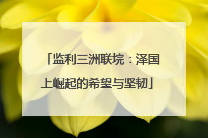 监利三洲联垸：泽国上崛起的希望与坚韧