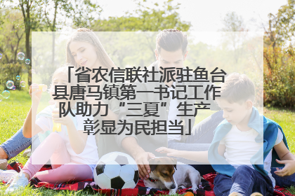 省农信联社派驻鱼台县唐马镇第一书记工作队助力“三夏”生产 彰显为民担当