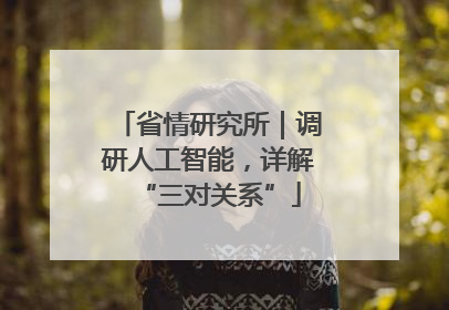 省情研究所｜调研人工智能，详解“三对关系”