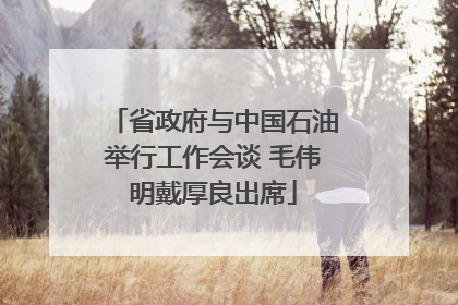 省政府与中国石油举行工作会谈 毛伟明戴厚良出席