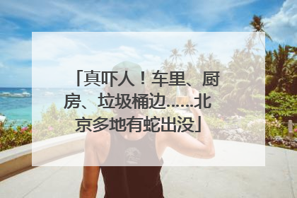 真吓人！车里、厨房、垃圾桶边……北京多地有蛇出没