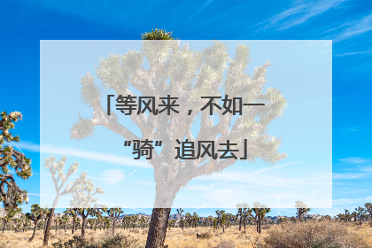 等风来，不如一“骑”追风去