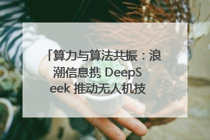 算力与算法共振：浪潮信息携 DeepSeek 推动无人机技术在舟山落地