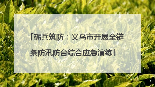 砺兵筑防：义乌市开展全链条防汛防台综合应急演练