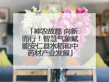 神农故郡 向新而行！智慧气象赋能安仁县水稻和中药材产业发展
