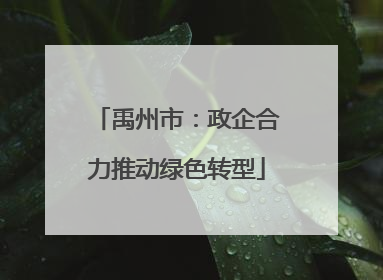 禹州市：政企合力推动绿色转型