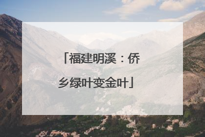 福建明溪：侨乡绿叶变金叶