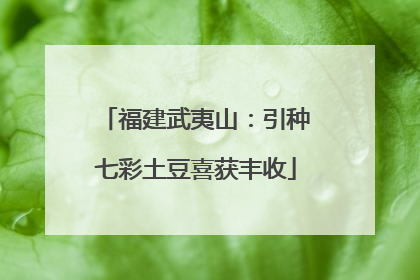 福建武夷山：引种七彩土豆喜获丰收