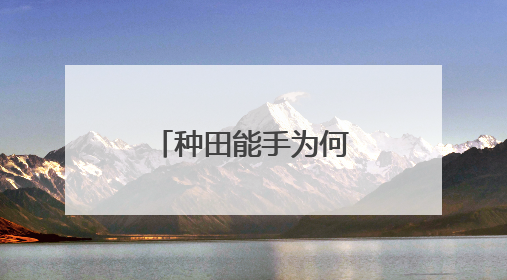 种田能手为何从容“放手”（三夏进行时）