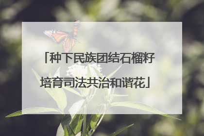 种下民族团结石榴籽 培育司法共治和谐花