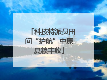 科技特派员田间“护航”中原夏粮丰收