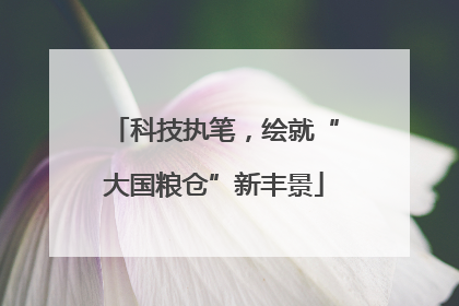 科技执笔，绘就“大国粮仓”新丰景