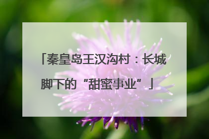 秦皇岛王汉沟村：长城脚下的“甜蜜事业”