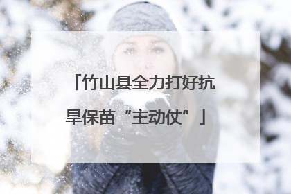 竹山县全力打好抗旱保苗“主动仗”