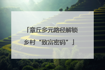 章丘多元路径解锁乡村“致富密码”