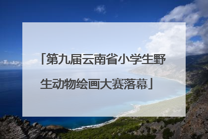 第九届云南省小学生野生动物绘画大赛落幕
