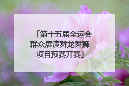 第十五届全运会群众展演舞龙舞狮项目预赛开赛