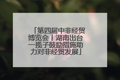 第四届中非经贸博览会丨湖南出台一揽子鼓励措施助力对非经贸发展