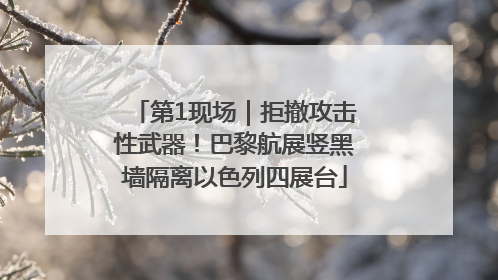 第1现场｜拒撤攻击性武器！巴黎航展竖黑墙隔离以色列四展台