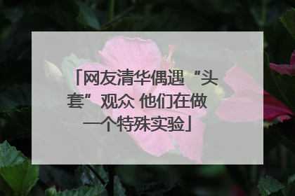网友清华偶遇“头套”观众 他们在做一个特殊实验