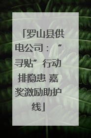 罗山县供电公司：“寻贴”行动排隐患 嘉奖激励助护线