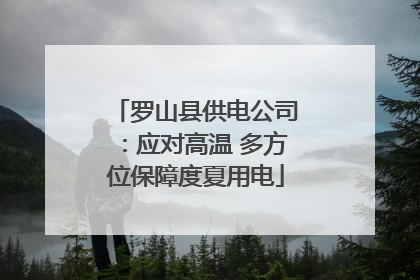 罗山县供电公司：应对高温 多方位保障度夏用电