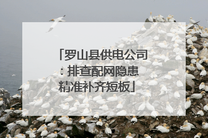 罗山县供电公司：排查配网隐患 精准补齐短板