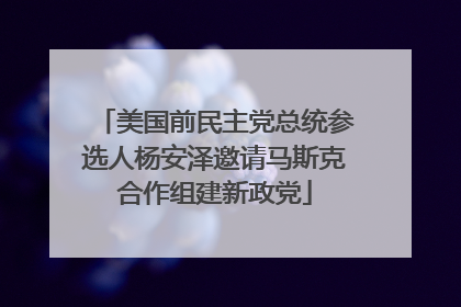 美国前民主党总统参选人杨安泽邀请马斯克合作组建新政党