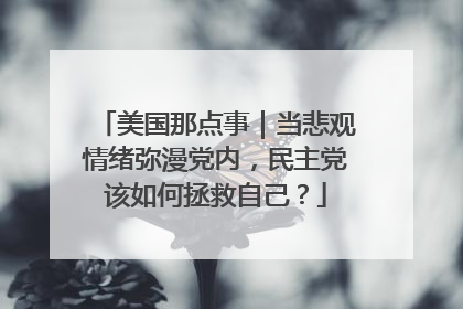 美国那点事｜当悲观情绪弥漫党内，民主党该如何拯救自己？
