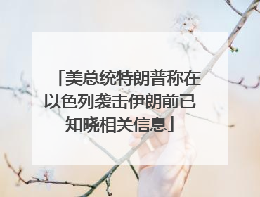 美总统特朗普称在以色列袭击伊朗前已知晓相关信息