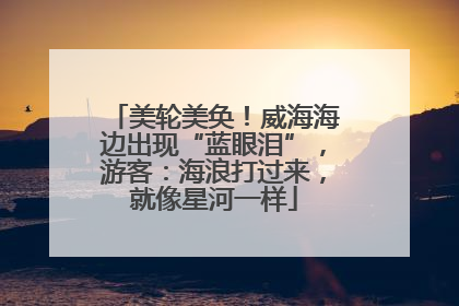 美轮美奂！威海海边出现“蓝眼泪”，游客：海浪打过来，就像星河一样