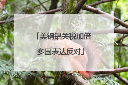 美钢铝关税加倍 多国表达反对