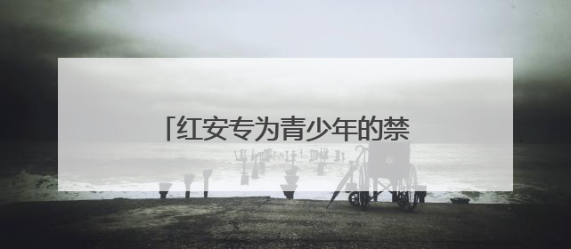 红安专为青少年的禁毒课在庭审现场开讲