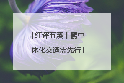 红评五溪丨鹤中一体化交通需先行