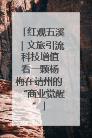 红观五溪｜文旅引流 科技增值 看一颗杨梅在靖州的“商业觉醒”